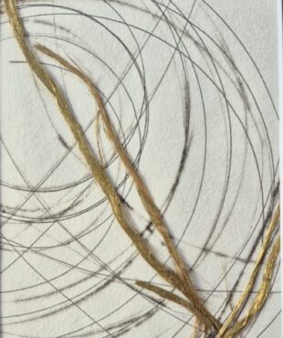 Lise Brousseau