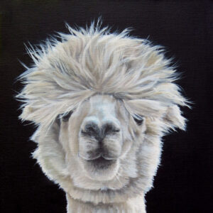 <strong>5 - Guylaine Ruel</strong> Guylaine Ruel